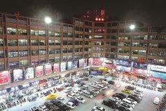 奋怯抢先这一年：侨力磅礴涌新潮