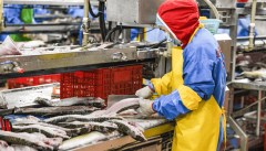 <strong>咸宁以全链条管理建牢食安平易近生底线</strong>